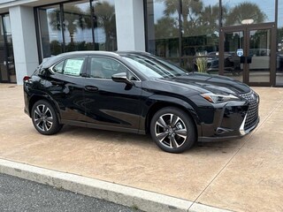 2025 LEXUS UX 300h PREMIUM AWD Sport Utility