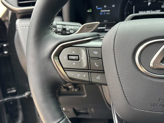 2025 Lexus LX Overtrail - Photo 29