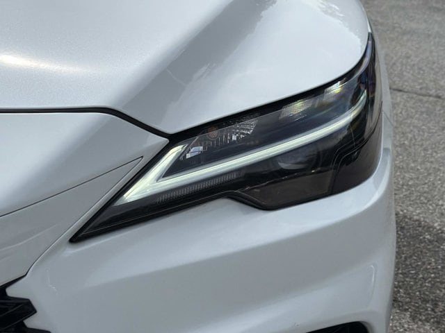 2025 Lexus RX 350 - Photo 10