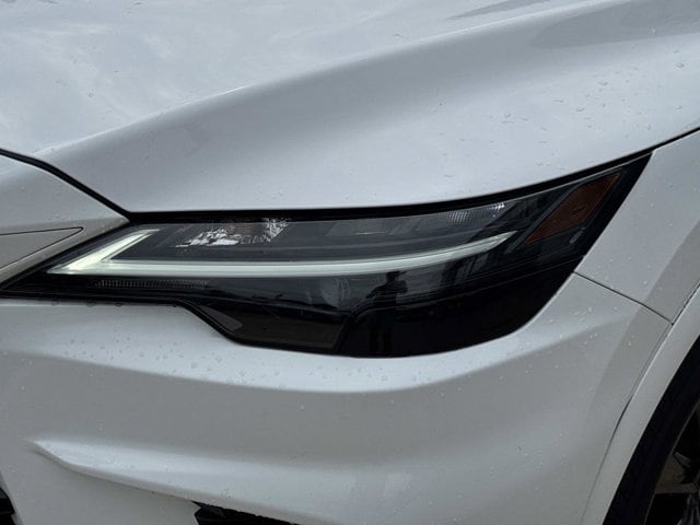 2025 Lexus RX 350 - Photo 37