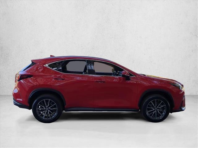2024 Lexus NX 250 photo 4