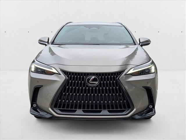 2023 Lexus NX 350h Premium photo 2