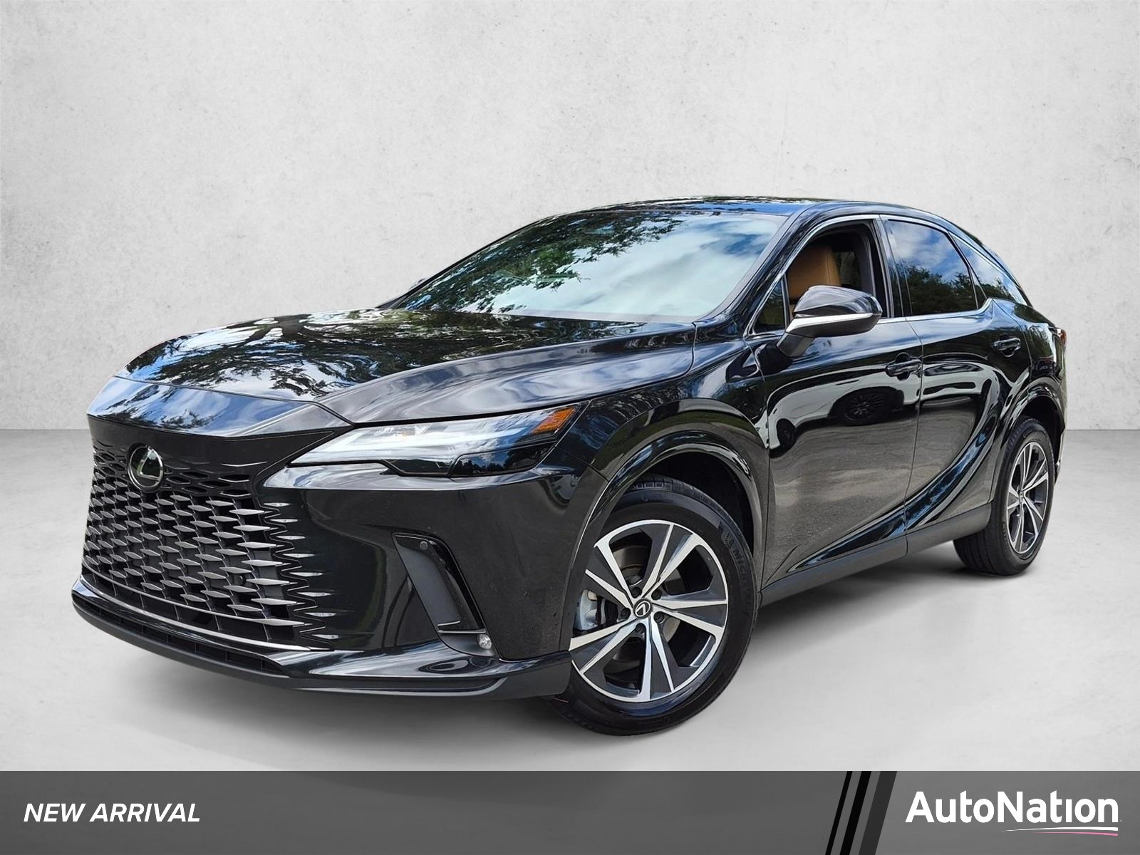 2025 Lexus RX