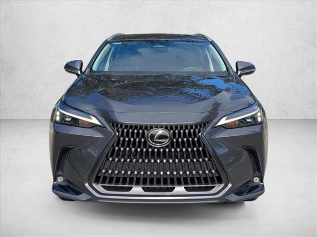 2023 Lexus NX 250 photo 2