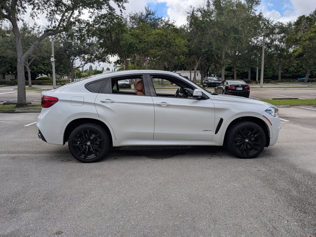 2018 Bmw X6 sDrive35i photo 4