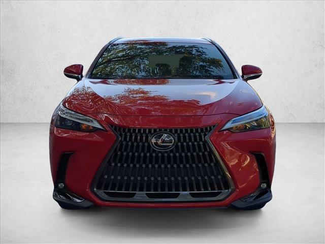 2024 Lexus NX 250 photo 2