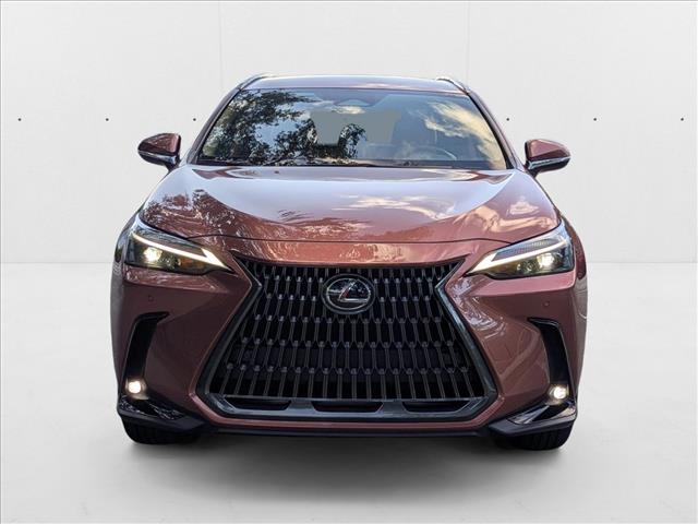 2025 Lexus NX 250 photo 2