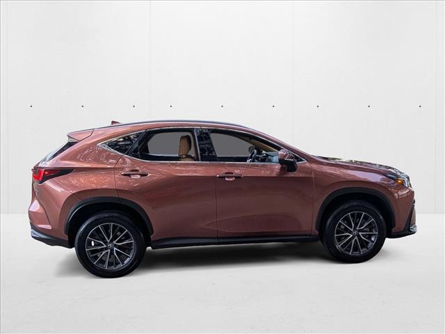 2025 Lexus NX 250 photo 4