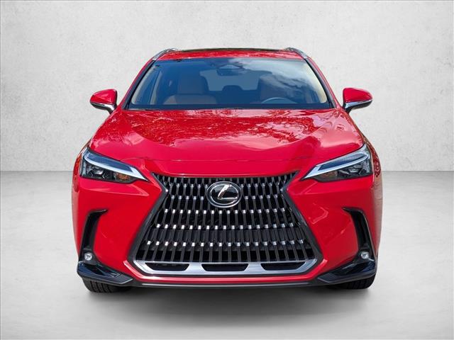 2024 Lexus NX 350h photo 2