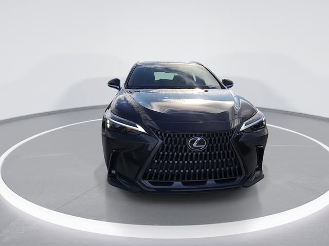 2026 Lexus NX 350 Luxury - Photo 3