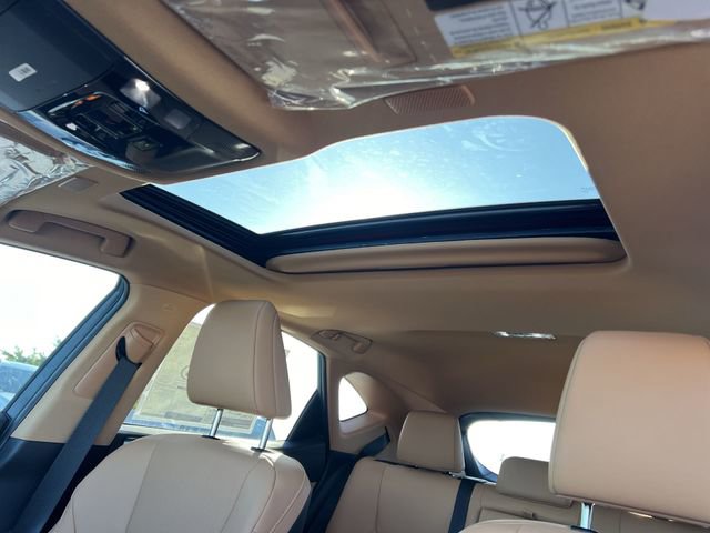 2025 Lexus NX 250 - Photo 22