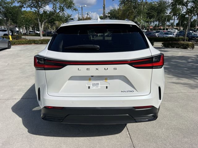2025 Lexus NX 250 - Photo 24