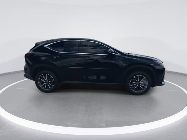 2025 Lexus NX 250 - Photo 9
