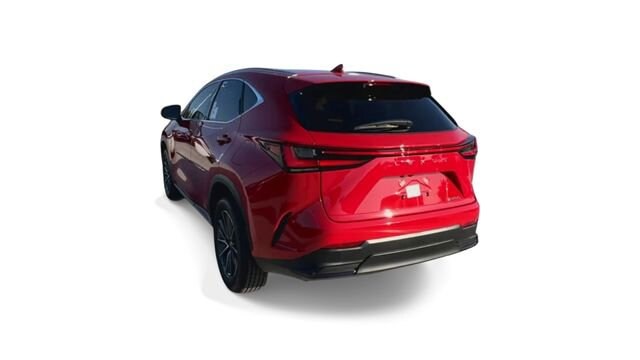 2025 Lexus NX 250 - Photo 7