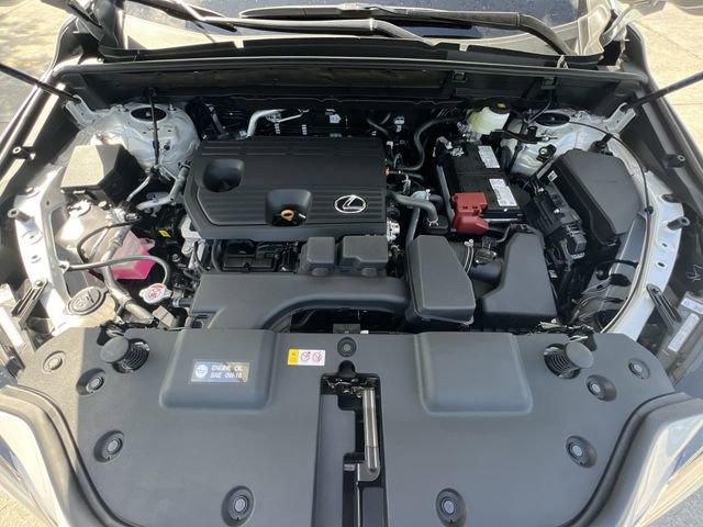 2025 Lexus NX 250 - Photo 26