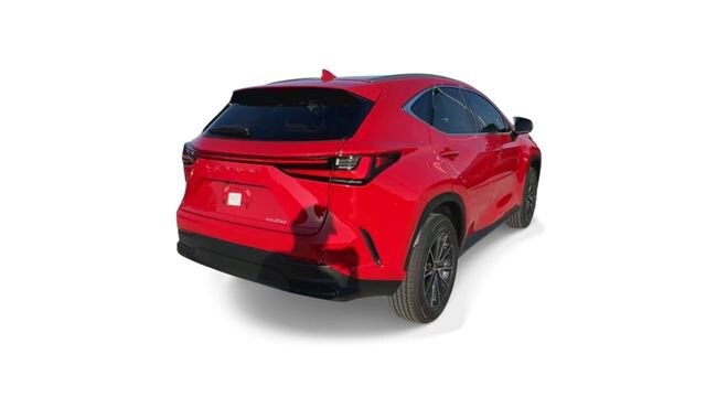 2025 Lexus NX 250 - Photo 8