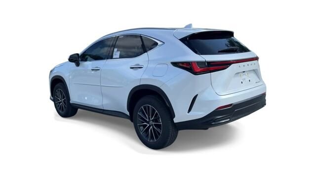 2025 Lexus NX 250 - Photo 6