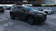  LEXUS NX 250