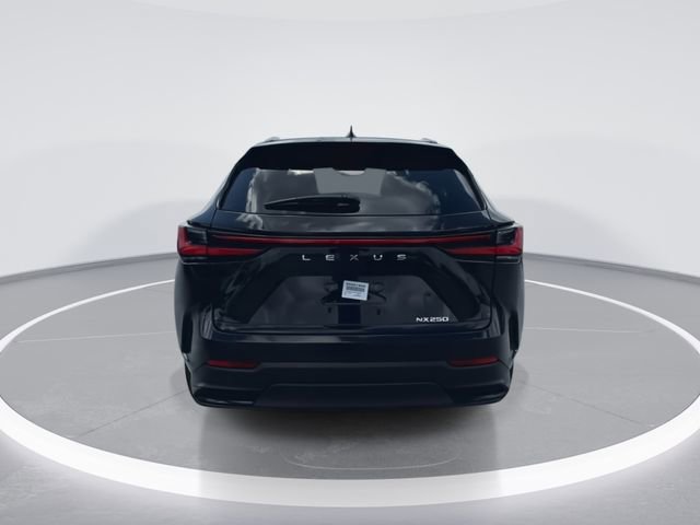 2025 Lexus NX 250 - Photo 7