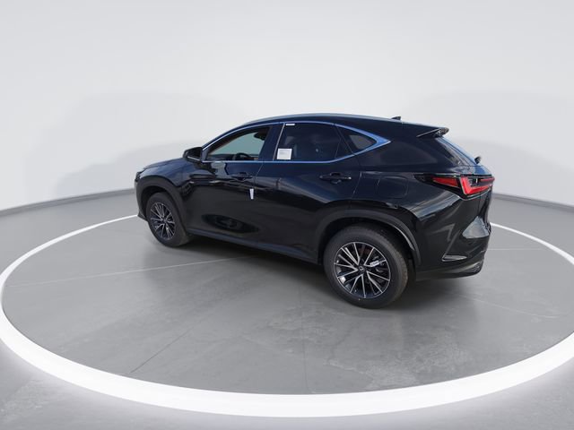 2026 Lexus NX 350 Luxury - Photo 6