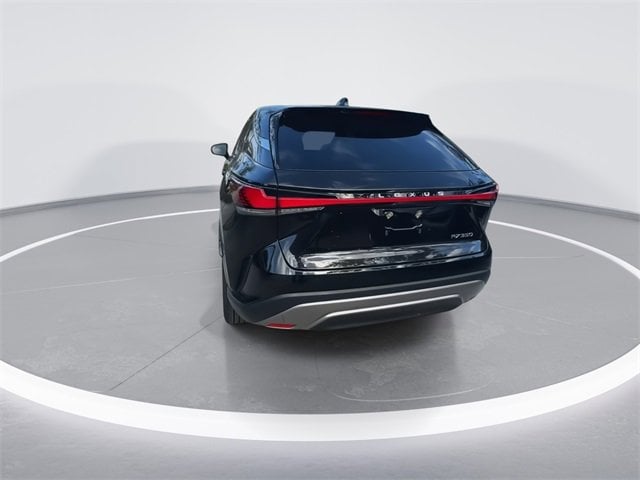 2024 Lexus RX 350 - Photo 7