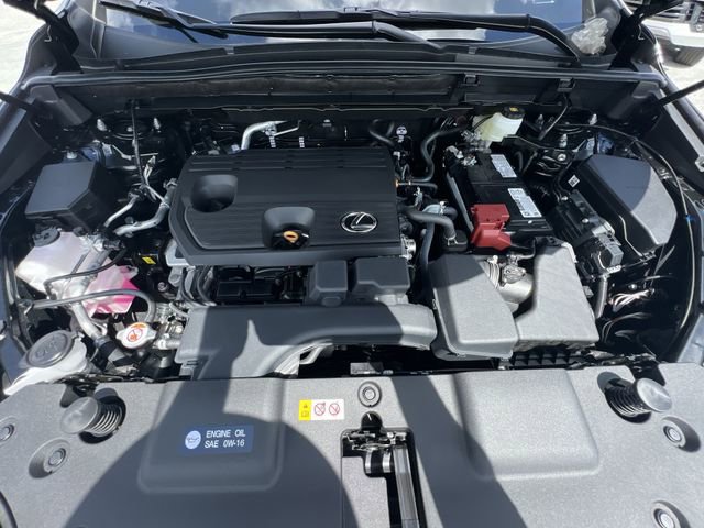 2025 Lexus NX 250 - Photo 26