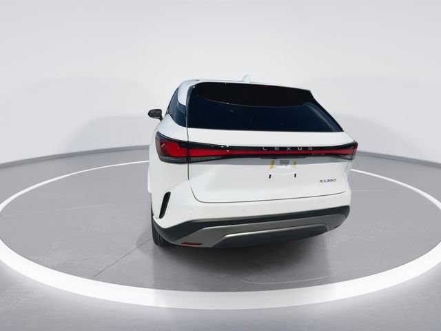 2024 Lexus RX 350 - Photo 7