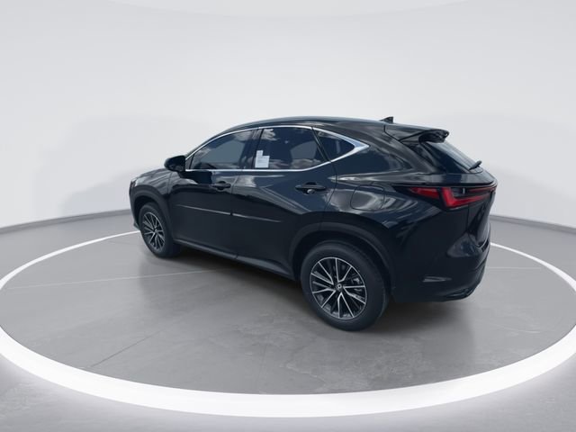 2025 Lexus NX 250 - Photo 6