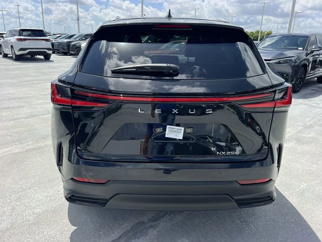 2025 Lexus NX 250 - Photo 24