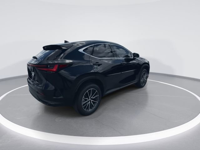 2025 Lexus NX 250 - Photo 8