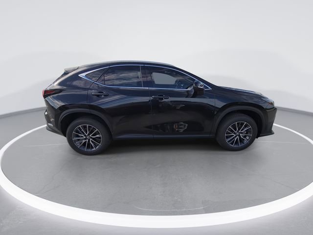 2026 Lexus NX 350 Luxury - Photo 9
