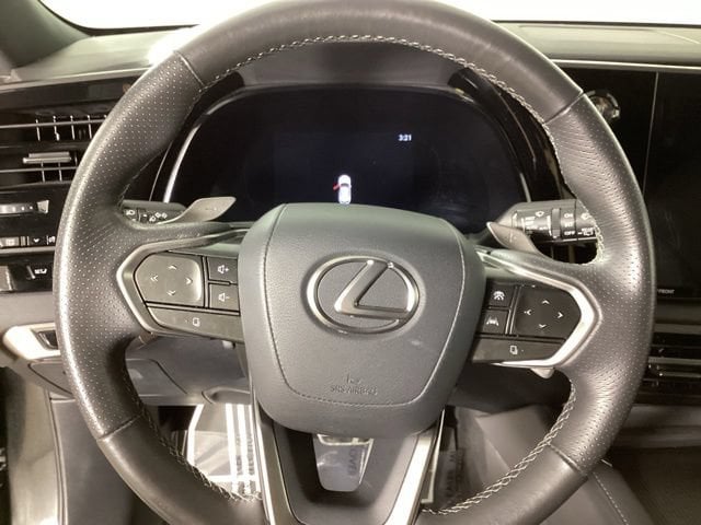 2023 Lexus RX 350 F SPORT - Photo 15