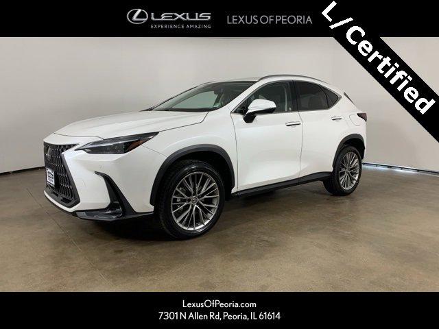 2023 Lexus NX 350's photo