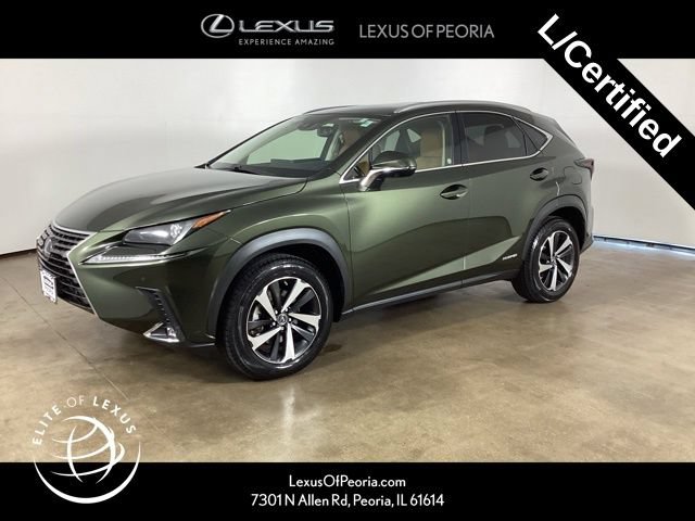 2021 Lexus NX 350h 300h AWD's photo