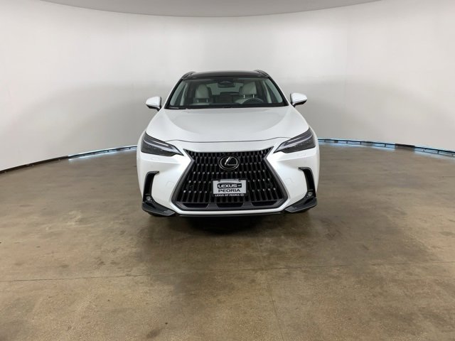 2025 Lexus NX 350 Luxury photo 2