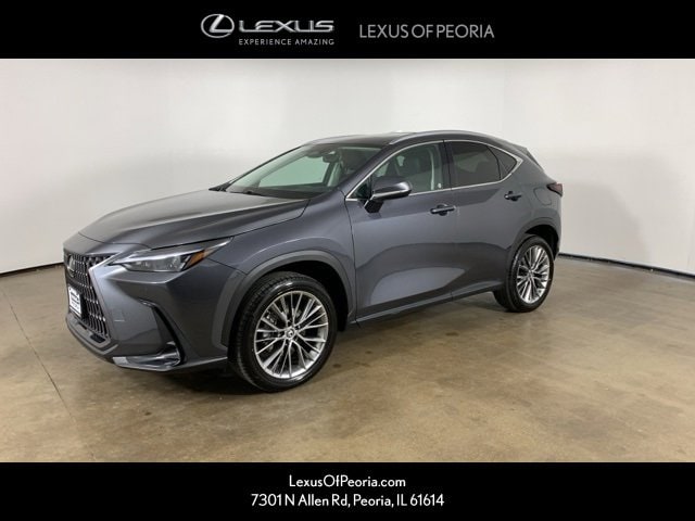 2022 Lexus NX Base's photo