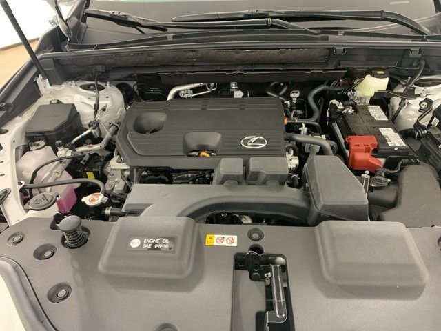 Used 2025 Lexus NX 250 with VIN 2T2ADCAZ4SC028783 for sale in Peoria, IL