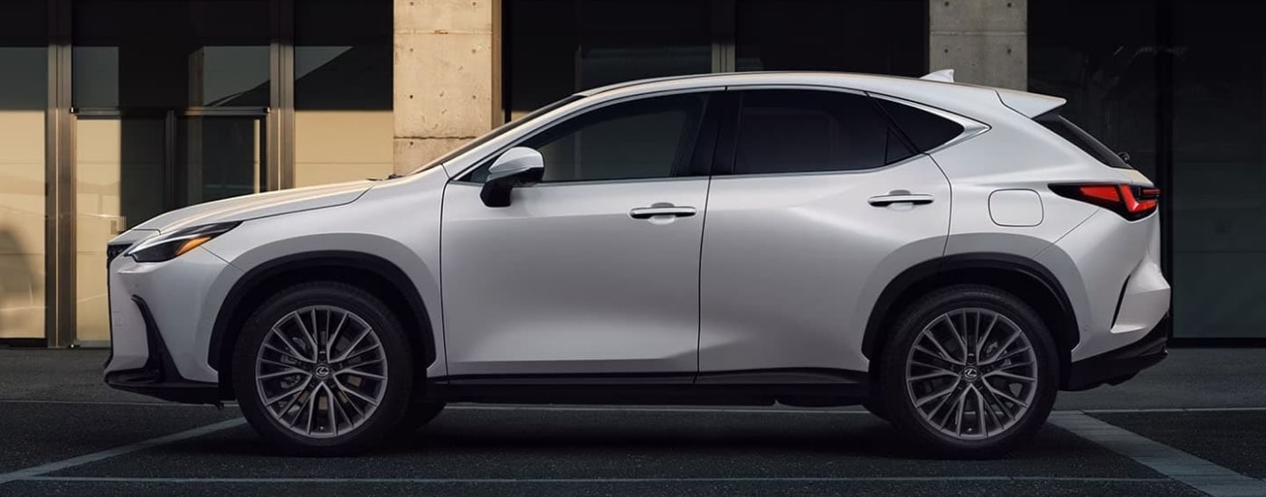 A white 2024 Lexus NX in a parking spot.