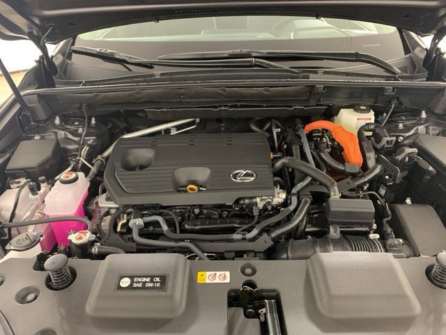 2025 Lexus NX 350h photo 2