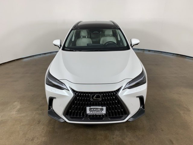 2025 Lexus NX 350 Luxury photo 3