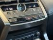 2019 LEXUS NX 300h SUV