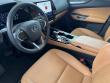 2024 LEXUS NX 250 250 Premium SUV