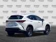 2025 LEXUS NX 350h Premium SUV