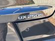 2023 LEXUS UX 250h SUV