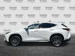 2025 LEXUS NX 350h Premium SUV
