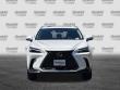 2025 LEXUS NX 350h Premium SUV