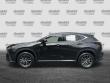 2025 LEXUS NX 350 Premium SUV