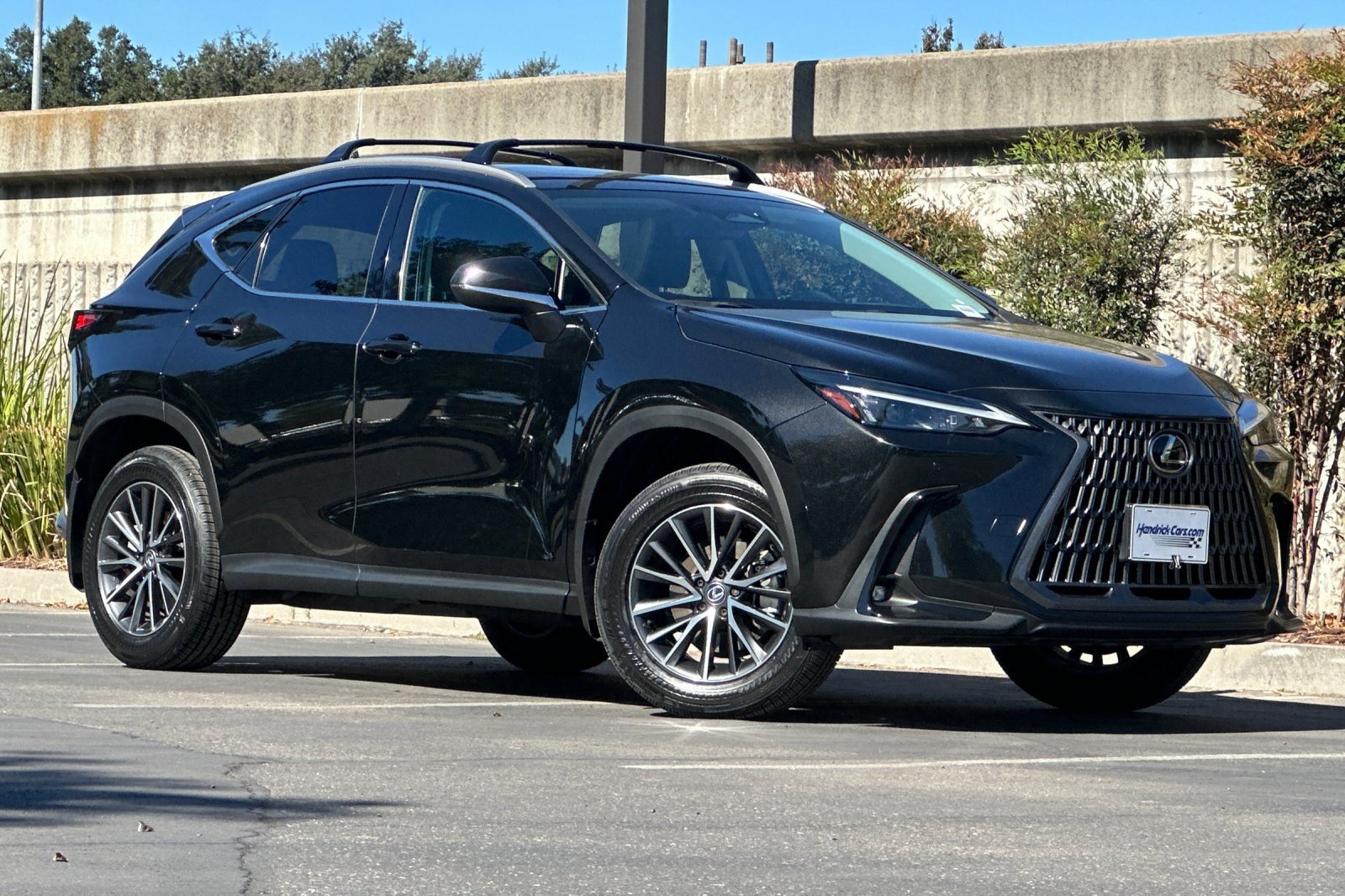 2025 LEXUS NX 250 Premium SUV