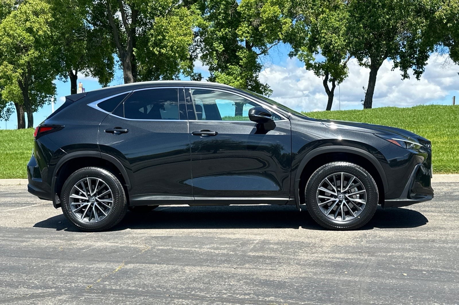 2022 LEXUS NX 350h photo 2
