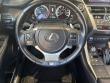 2021 LEXUS NX 300 F SPORT SUV